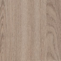 ELM